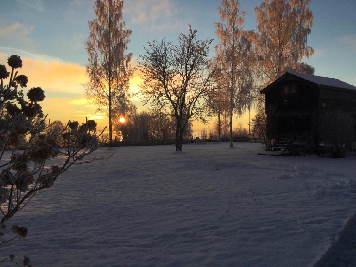Mysigt Boende I Raettvik Med Utsikt Oever Siljan Bagian luar foto