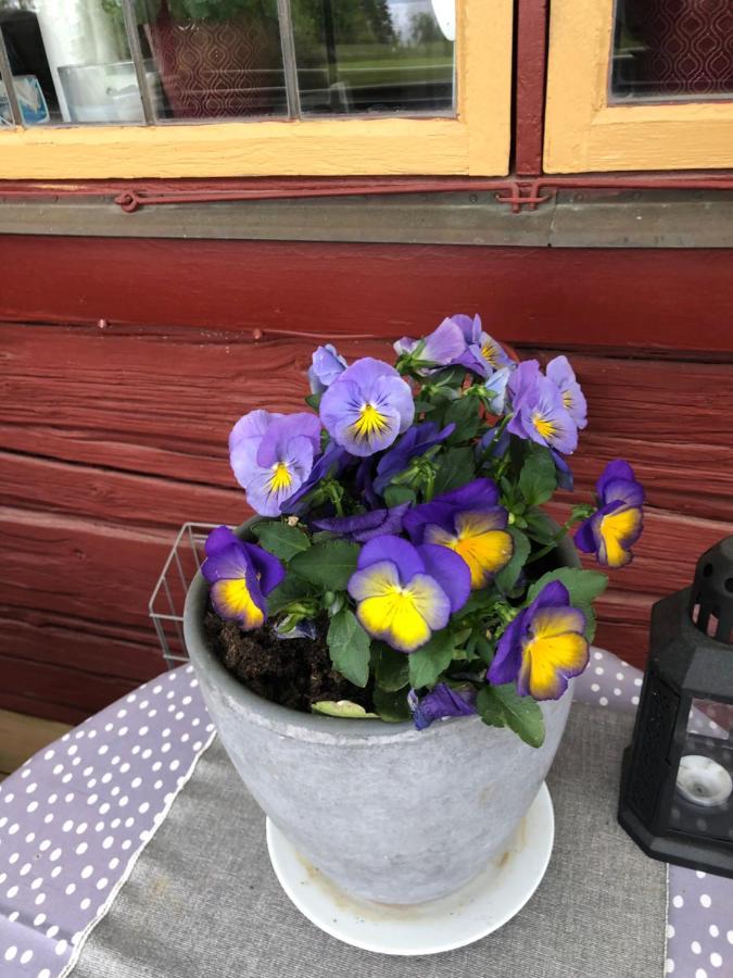 Mysigt Boende I Raettvik Med Utsikt Oever Siljan Bagian luar foto