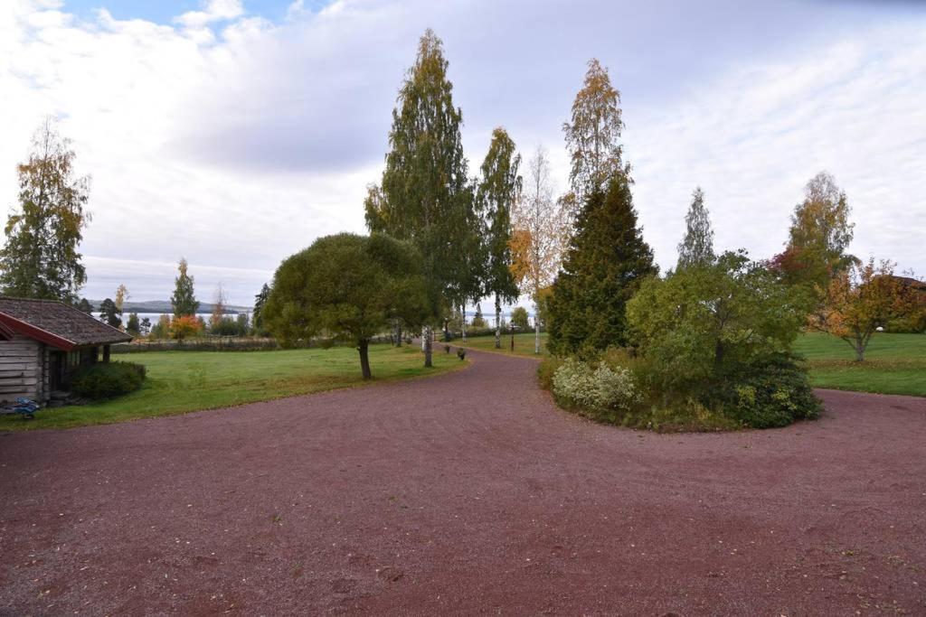 Mysigt Boende I Raettvik Med Utsikt Oever Siljan Bagian luar foto