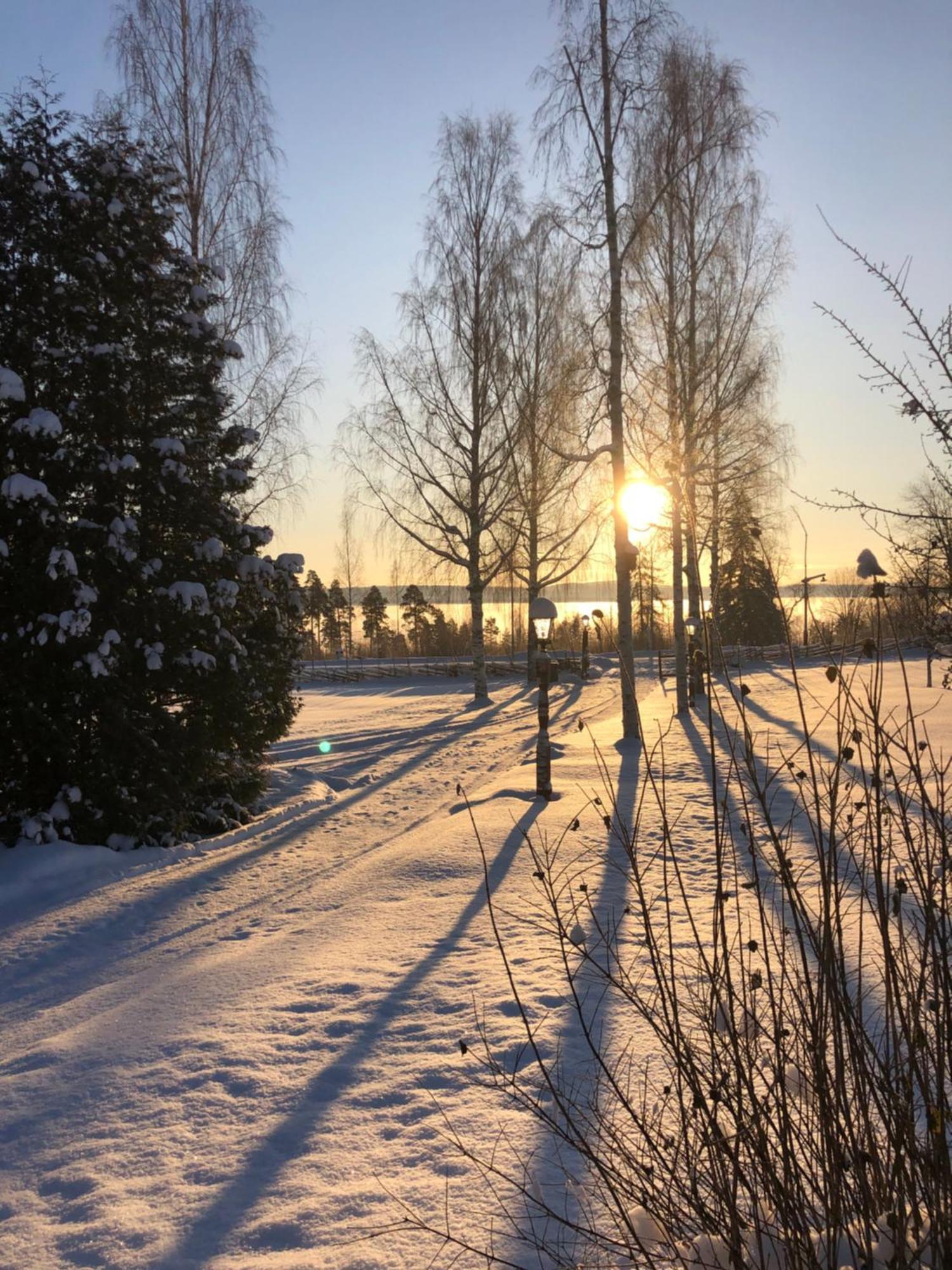 Mysigt Boende I Raettvik Med Utsikt Oever Siljan Bagian luar foto