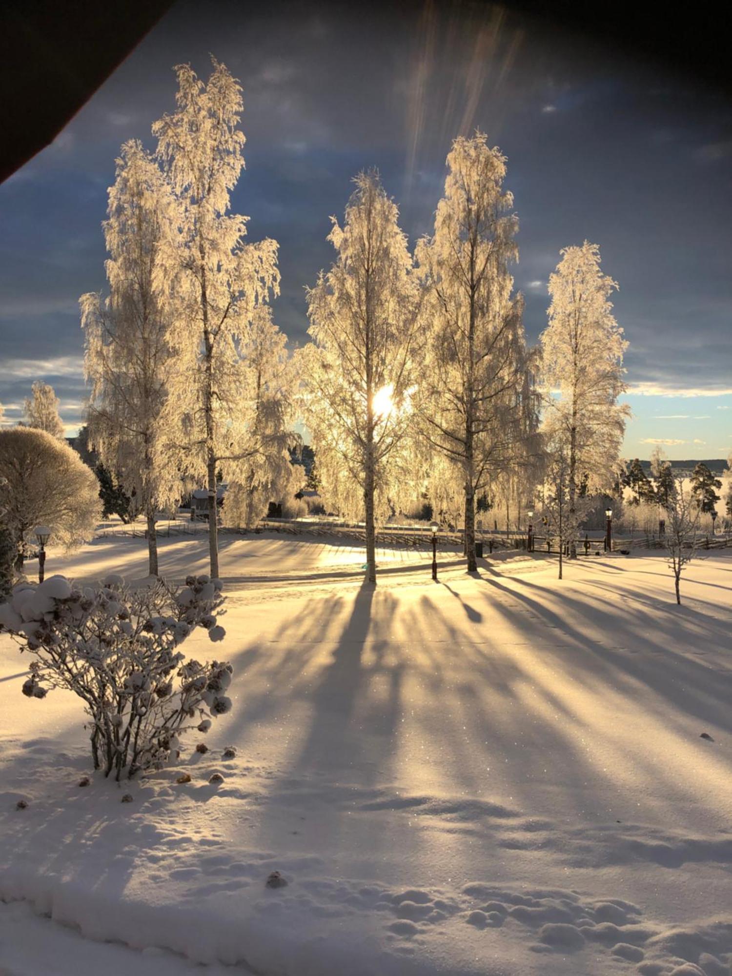 Mysigt Boende I Raettvik Med Utsikt Oever Siljan Bagian luar foto