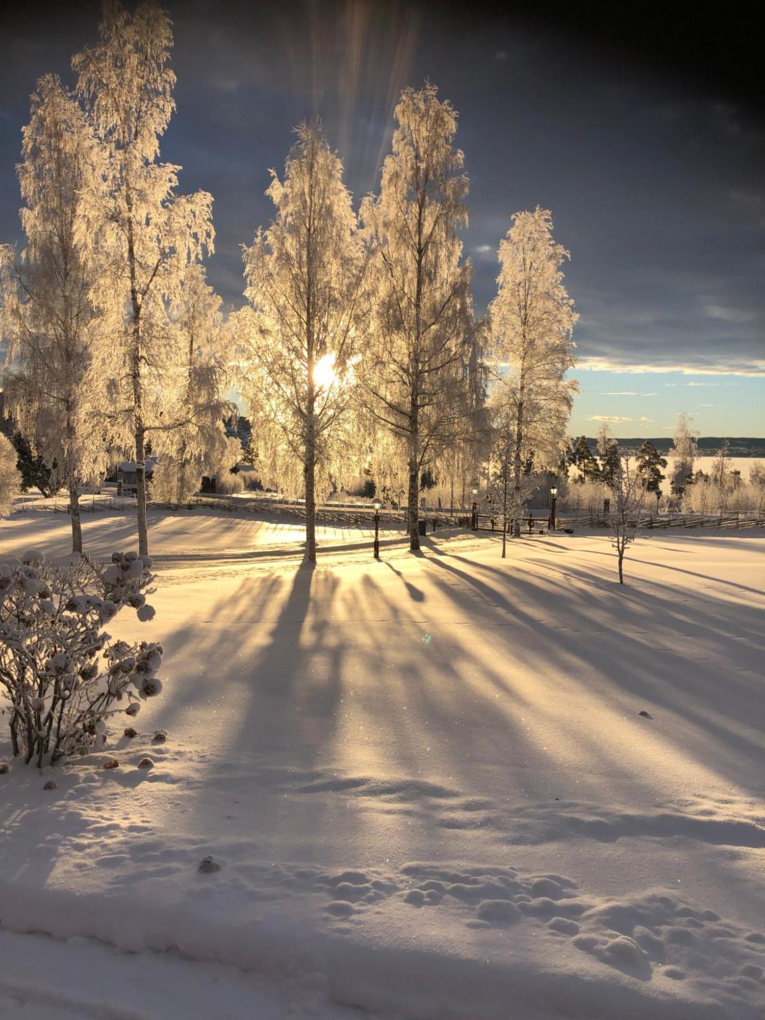 Mysigt Boende I Raettvik Med Utsikt Oever Siljan Bagian luar foto