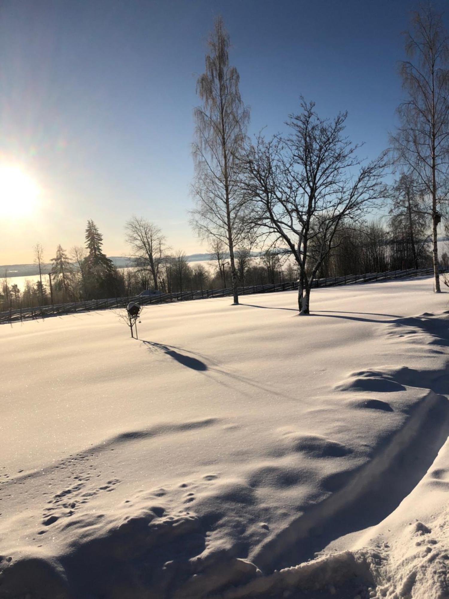 Mysigt Boende I Raettvik Med Utsikt Oever Siljan Bagian luar foto