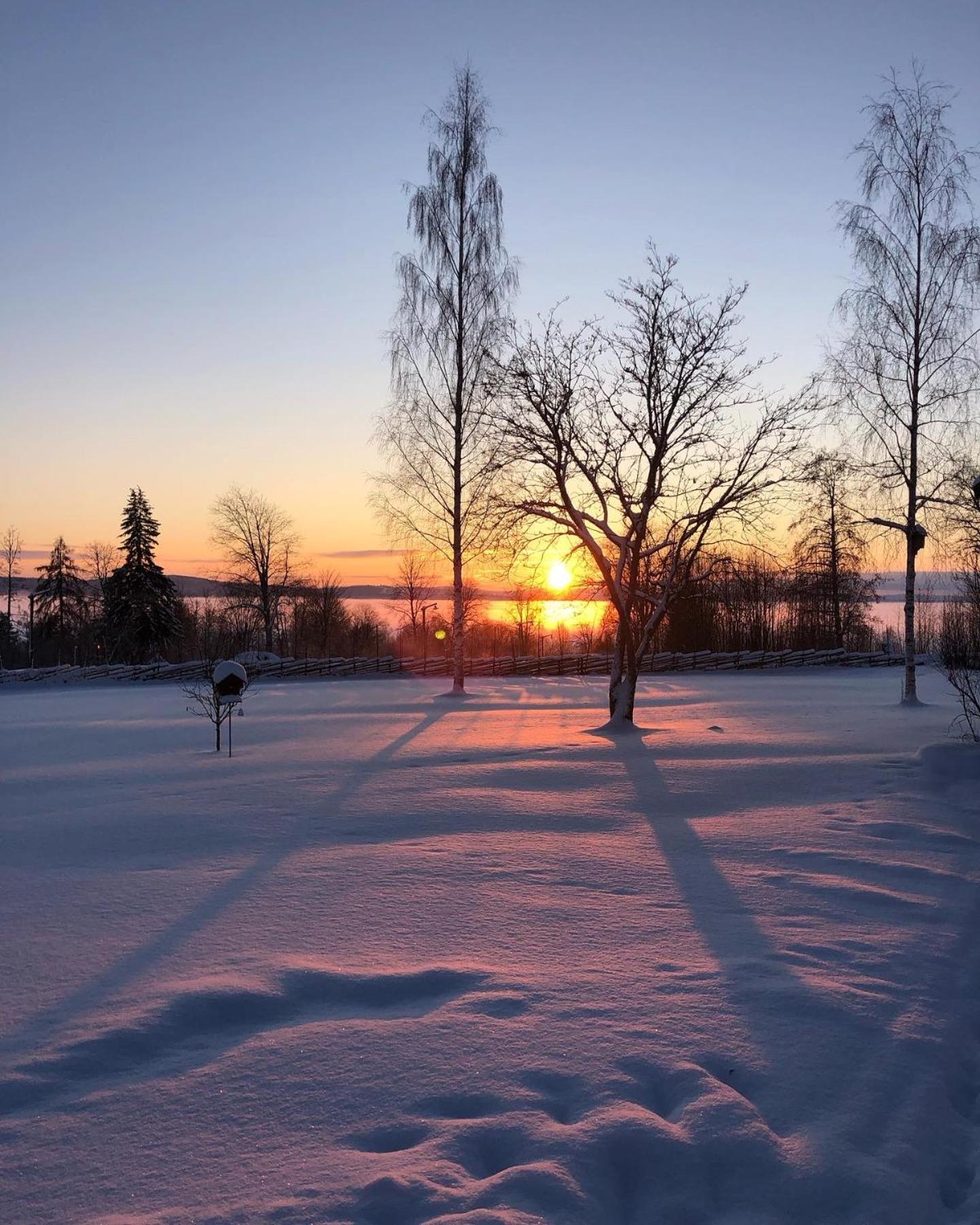Mysigt Boende I Raettvik Med Utsikt Oever Siljan Bagian luar foto